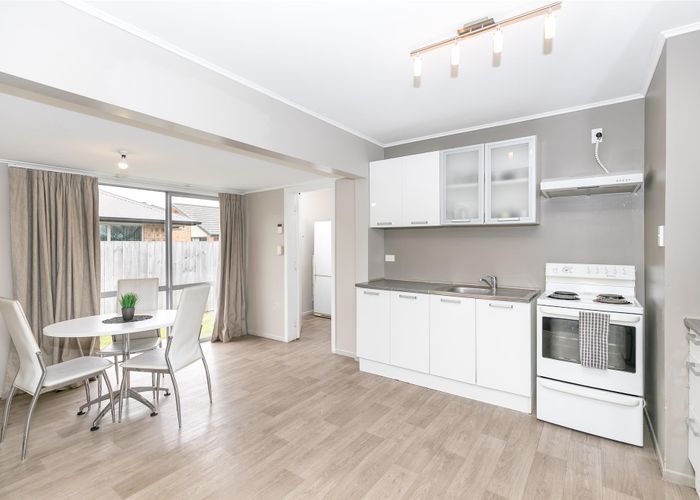  at 19 Paterson Street, Frankton, Hamilton