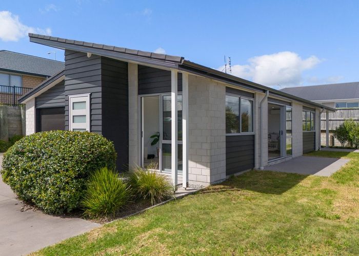  at 19 Te Kaka Place, Omokoroa, Western Bay Of Plenty, Bay Of Plenty