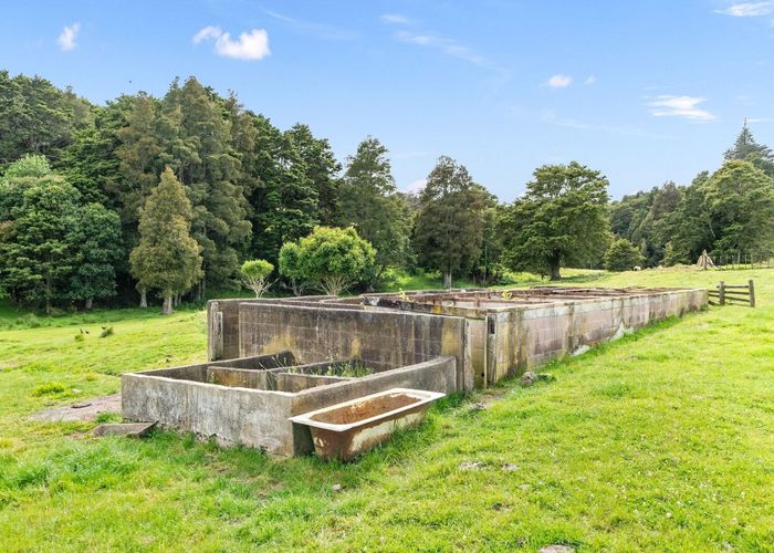  at 8 Pearson Road, Whangarei