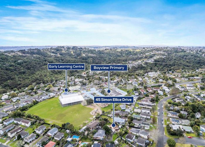  at 45 Simon Ellice Drive, Bayview, Auckland