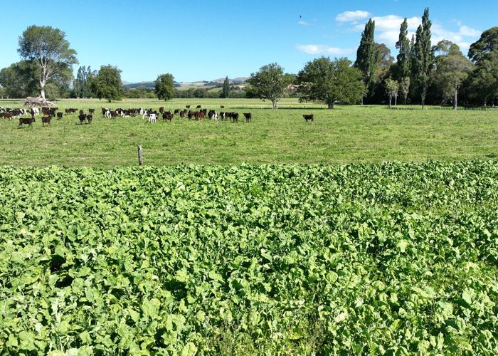  at 72 Taumata Island Road, Carterton, Carterton, Wellington