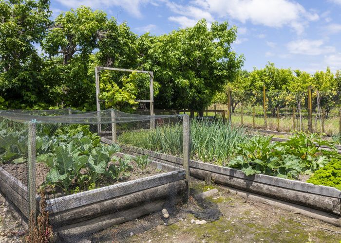  at 1344 Back Ormond Road, Gisborne