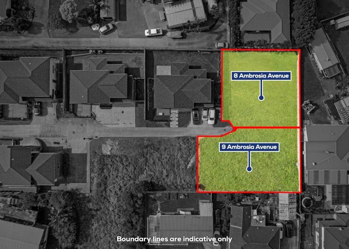  at 9 Ambrosia Avenue, Henderson, Waitakere City, Auckland