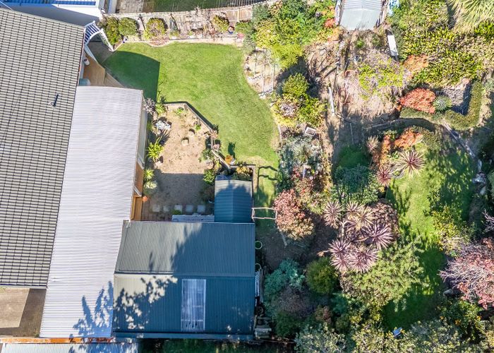  at 10 Phoenix Place, Dinsdale, Hamilton