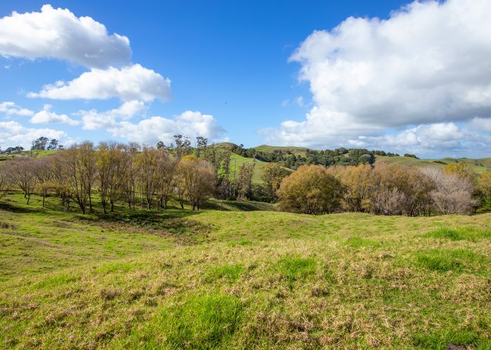  at 291 Oruawharo Road, Topuni