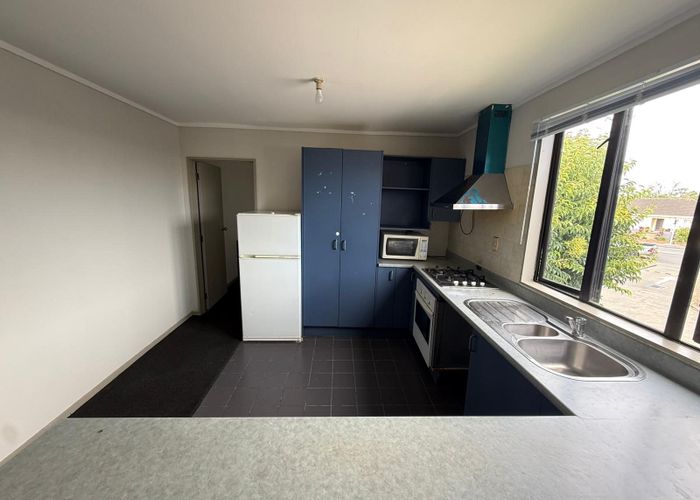  at 13B Mount Smart Road, Royal Oak, Auckland City, Auckland