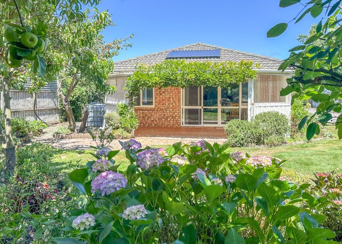  at 17 Bloomfield Street, Leithfield, Amberley