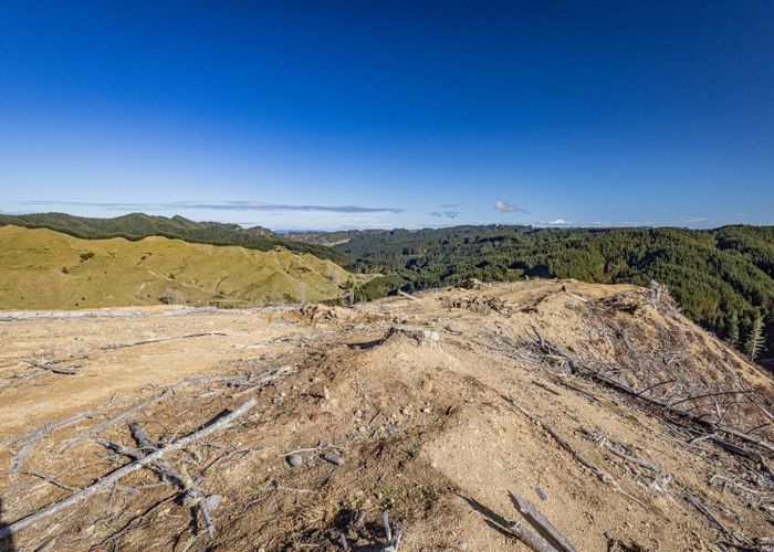  at Lot 1 Oio Road, Owhango, Ruapehu, Manawatu / Whanganui