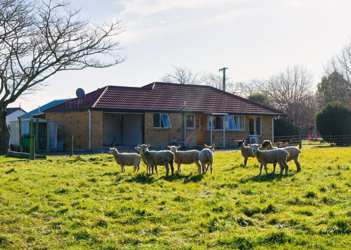  at 8 Reeves Street, Cheviot, Cheviot