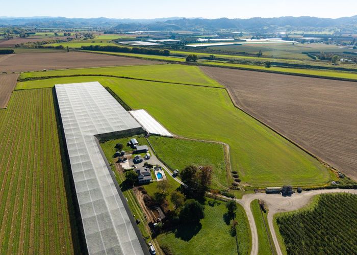  at Lot 4 Judd Road, Patutahi, Gisborne, Gisborne