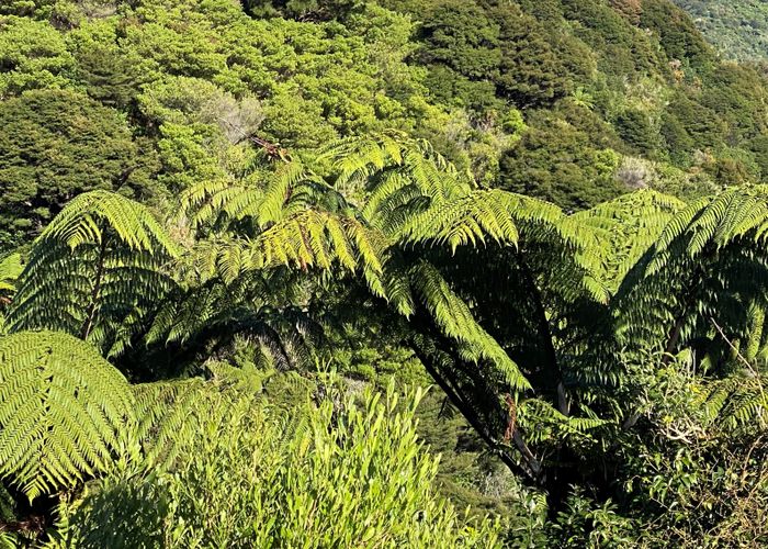  at 180 Totaranui Road, Wainui Bay, Tākaka