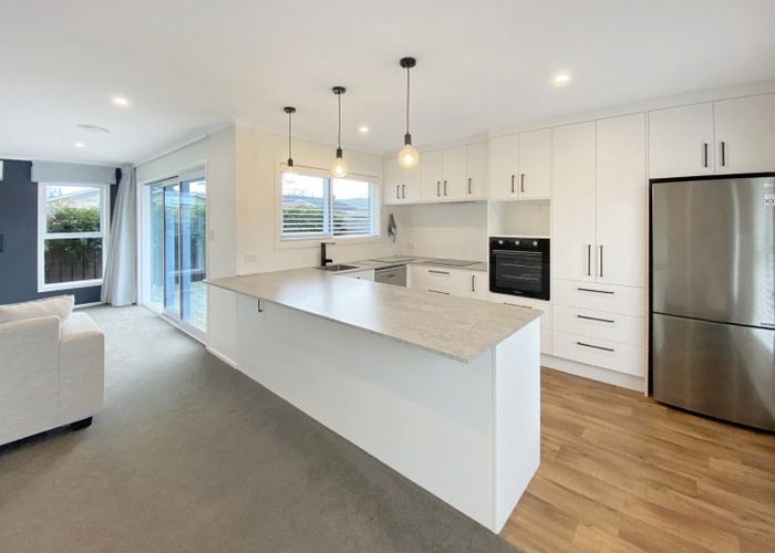 at 53B Argyle Avenue, Takaro, Palmerston North