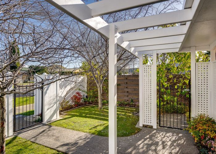  at 57 Avenue Road, GREENMEADOWS, NAPIER