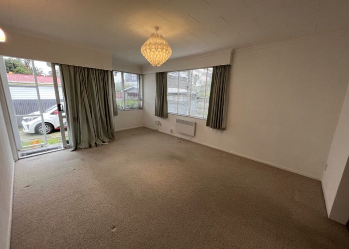  at 319 Albert Street, Hokowhitu, Palmerston North, Manawatu / Whanganui