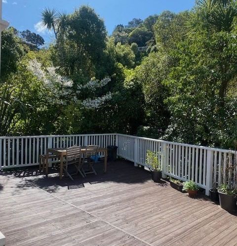  at 19 Crieff Street, Northland, Wellington, Wellington