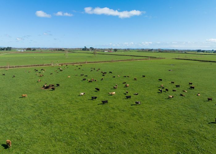  at Maiseys Road, Matamata, Matamata-Piako, Waikato