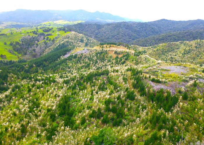  at Lot 2 Waiotehue Road, Broadwood, Far North, Northland