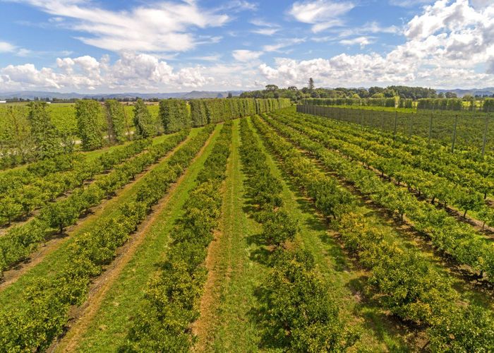  at 944 Back Ormond Road, Makauri, Gisborne, Gisborne