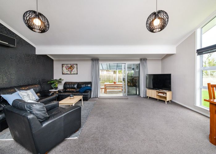  at 17 Patea Place, Terrace End, Palmerston North