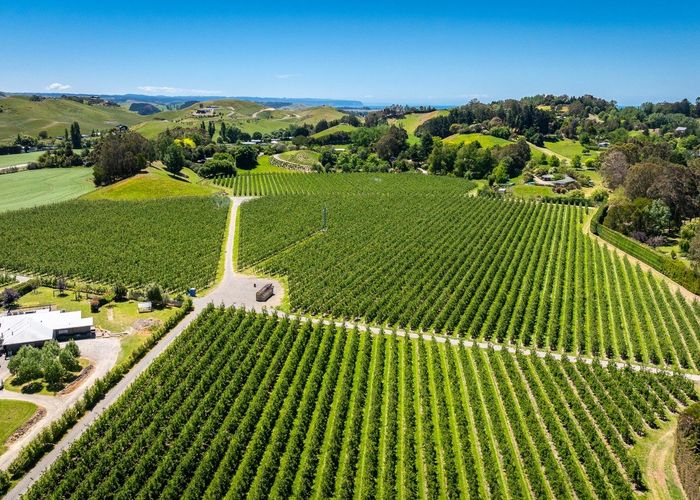  at 490 Puketitiri Road, Puketapu, Napier South, Napier, Hawke's Bay