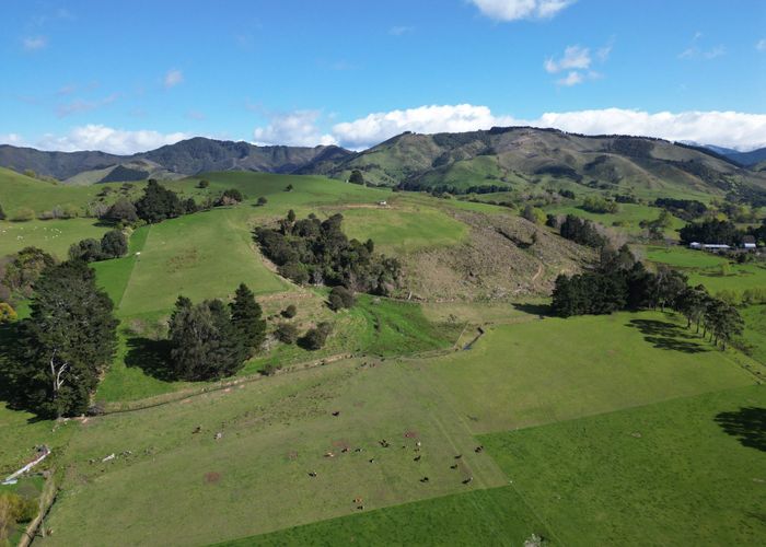  at 421 Haringa Road, Carterton