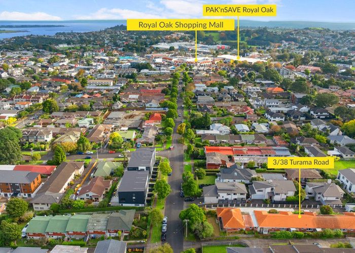  at 3/38 Turama Road, Royal Oak, Auckland