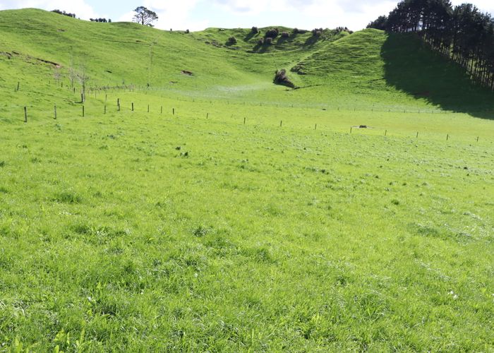  at 1289 Ahuroa Road, Makarau, Warkworth