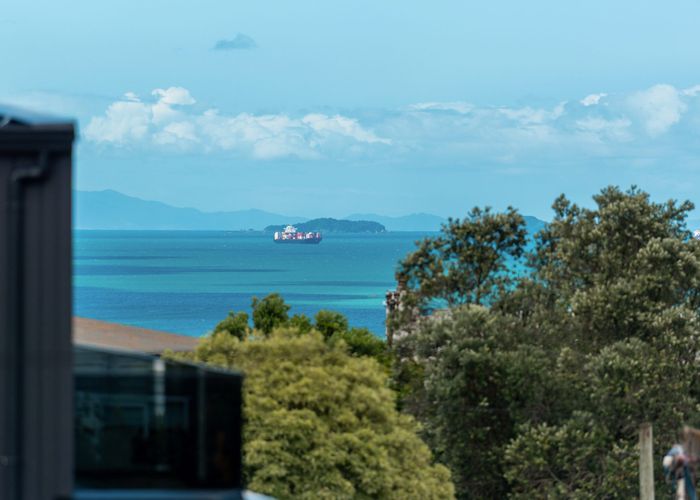  at 93 Hastings Road, Mairangi Bay, North Shore City, Auckland