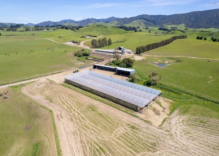  at 184 South Road No 2, Eketahuna, Tararua, Manawatu / Whanganui