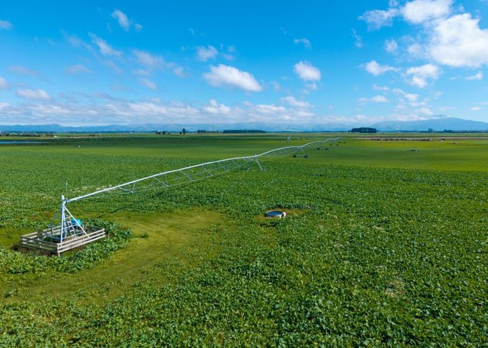  at Rangitata Orari Bridge Highway, Geraldine, Timaru, Canterbury