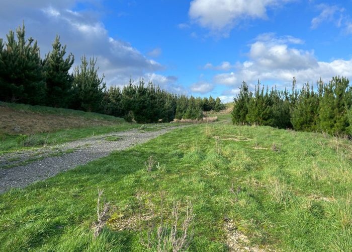  at 7801 Route 52, Dannevirke, Tararua, Manawatu / Whanganui