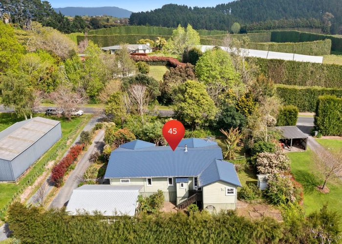  at 45 Plummer Road, Tauranga