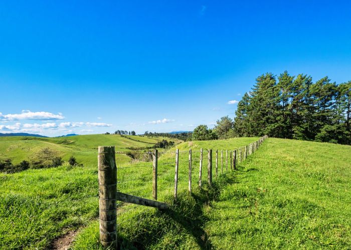  at 424A Hot Springs Road, Katikati, Western Bay Of Plenty, Bay Of Plenty