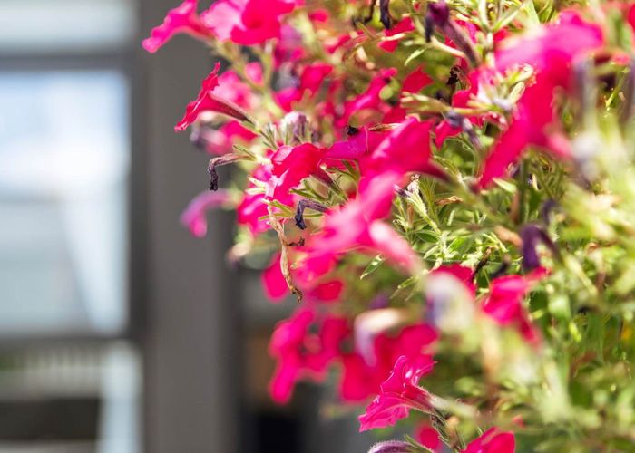  at 13 Tuatua Road, Hobsonville, Waitakere City, Auckland