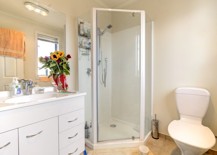  at 175C Killarney Road, Frankton, Hamilton, Waikato