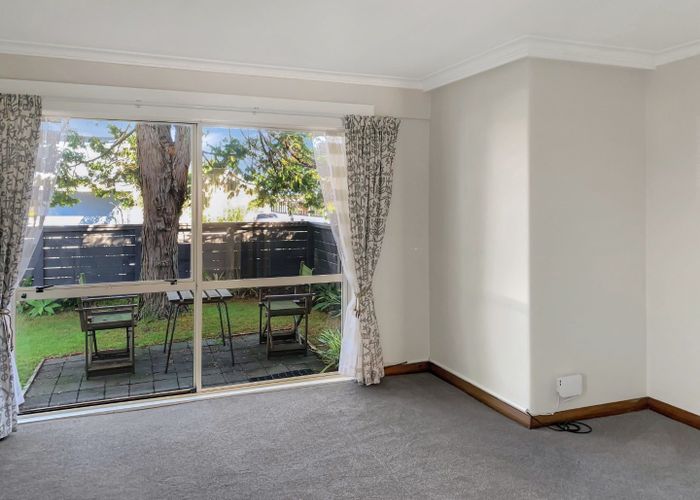  at 17 Patey Street, Epsom, Auckland City, Auckland
