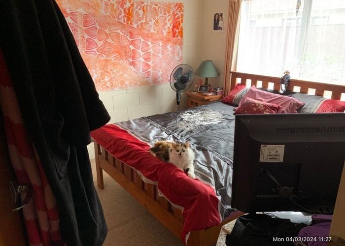  at 2/786 Main Street, Terrace End, Palmerston North, Manawatu / Whanganui