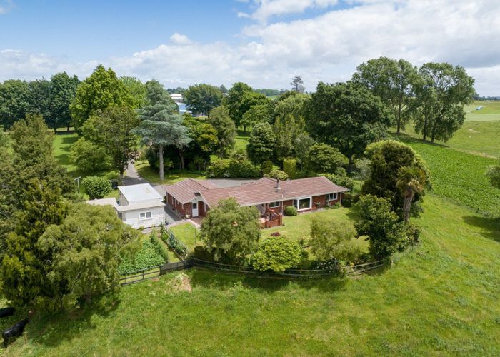  at 113 Domain Road, Putaruru