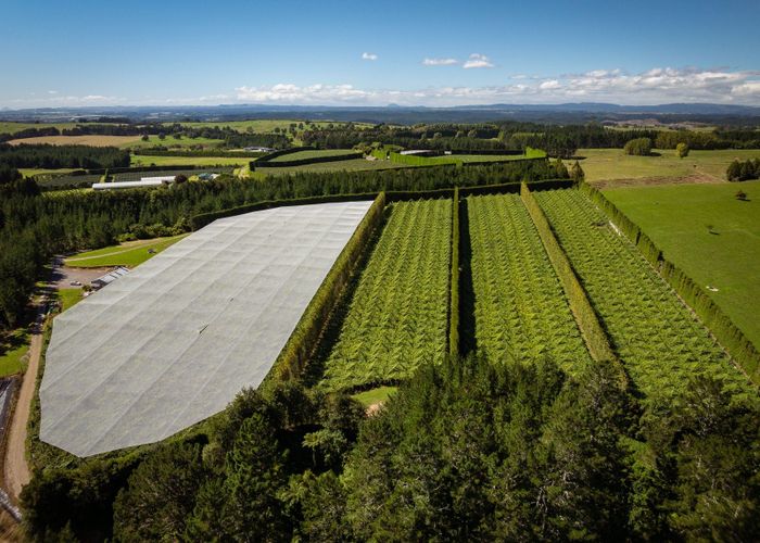  at 1044 Te Matai Road, Te Puke, Western Bay Of Plenty, Bay Of Plenty