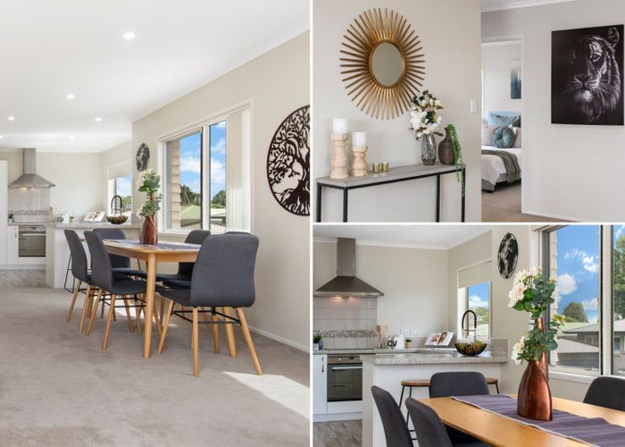  at 54 Harrier Street, Parkvale, Tauranga
