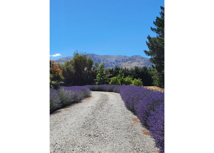  at 88 Lachlan Avenue, Wanaka