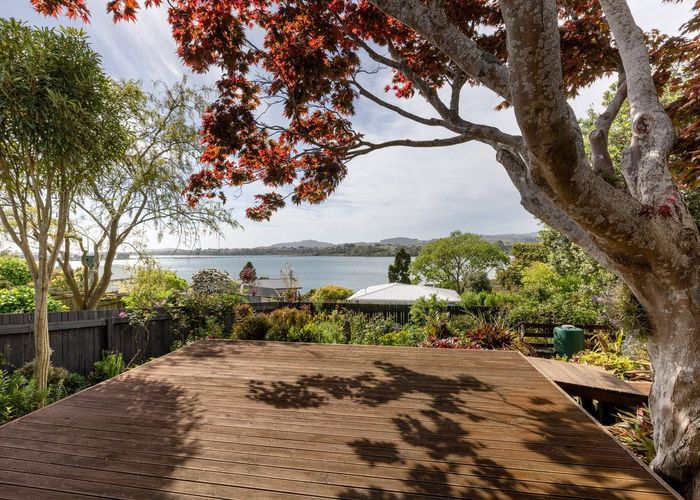  at 53 Hampton Terrace, Parkvale, Tauranga, Bay Of Plenty