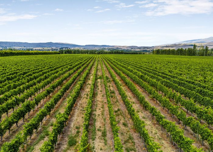  at 89 McPherson Road, Earnscleugh, Alexandra, Central Otago, Otago