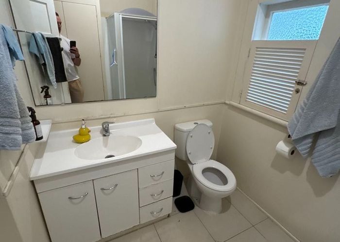  at 14 Martin Avenue, Mount Albert, Auckland City, Auckland