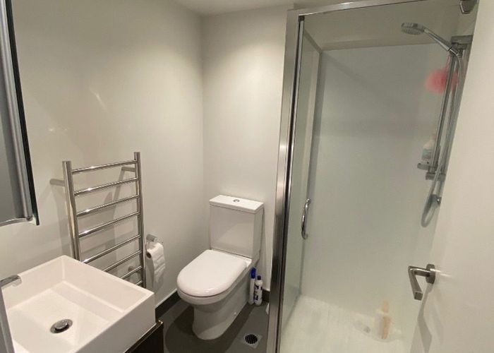  at 8 Airedale Street, City Centre, Auckland City, Auckland