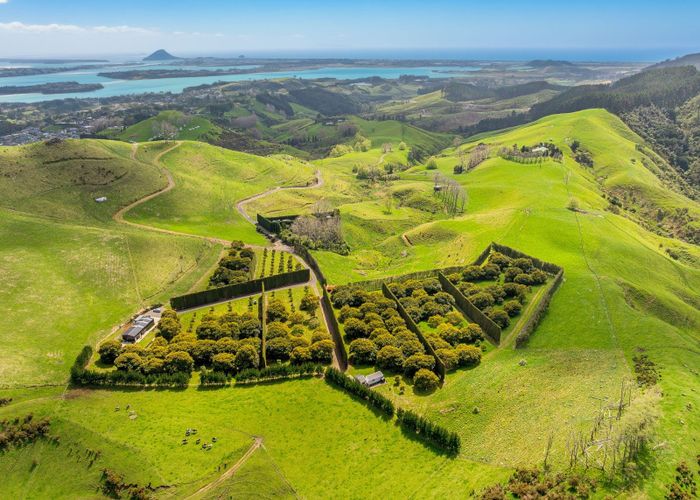  at 220F Waikite Road, Welcome Bay, Tauranga, Bay Of Plenty