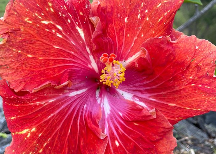  at 32 Admiral Way, Tutukaka, Whangarei, Northland