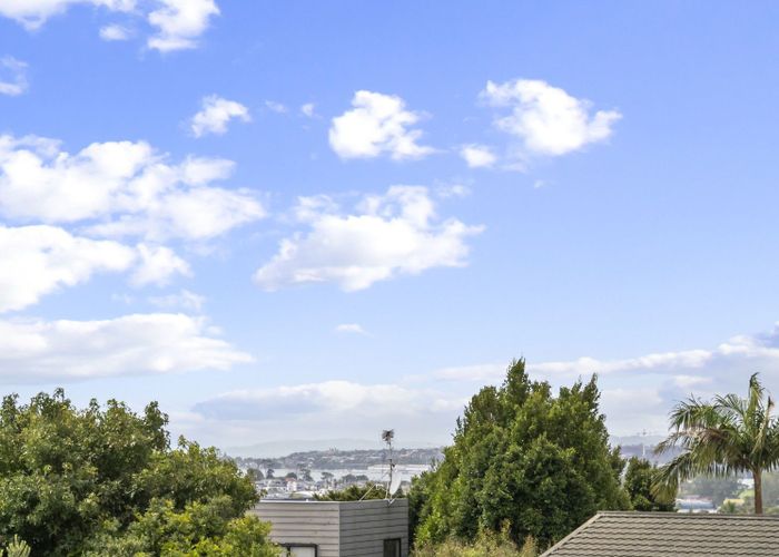  at 29 Cotton Street, Saint Johns, Auckland City, Auckland