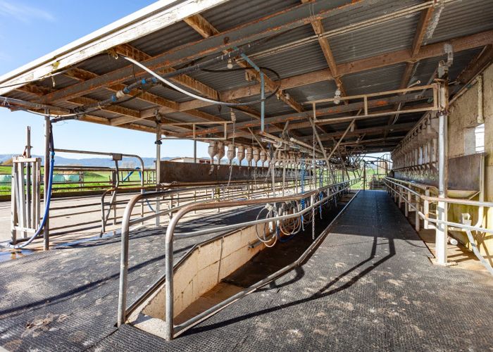 For sale 601 Rangitanuku Road, Tirau, South Waikato, Waikato homes