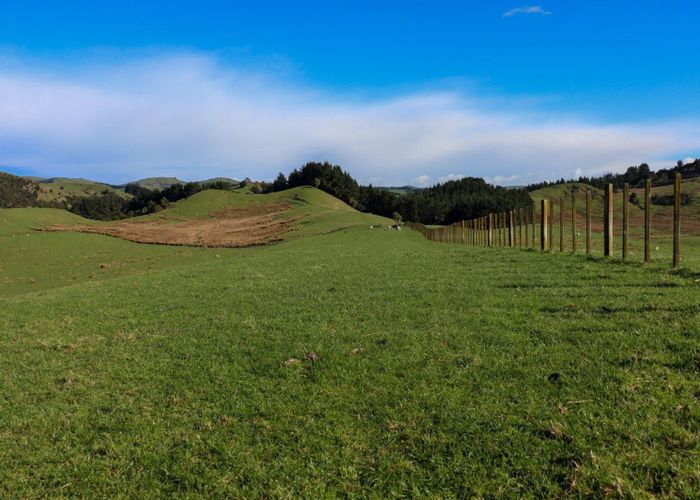 at 98 Millstream Road, Dannevirke, Tararua, Manawatu / Whanganui